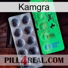 Kamgra new04